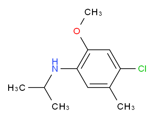 4-chloro-2-methoxy-5-methyl-N-(propan-2-yl)aniline