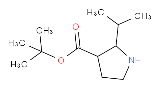 tert-butyl 2-(propan-2-yl)pyrrolidine-3-carboxylate