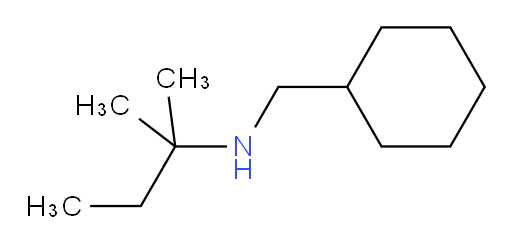 (cyclohexylmethyl)(2-methylbutan-2-yl)amine
