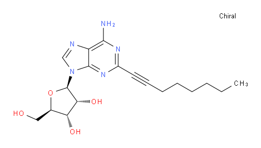 YT 146