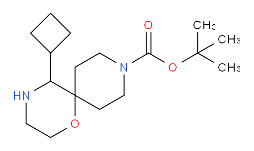 tert-butyl 5-cyclobutyl-1-oxa-4,9-diazaspiro[5.5]undecane-9-carboxylate