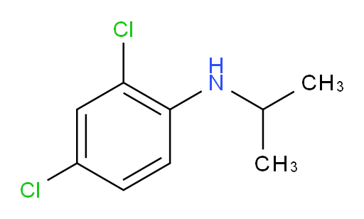 2,4-dichloro-N-(propan-2-yl)aniline