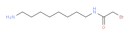 N-(8-aminooctyl)-2-bromoacetamide