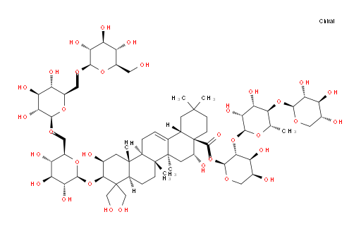 Platycoside G1