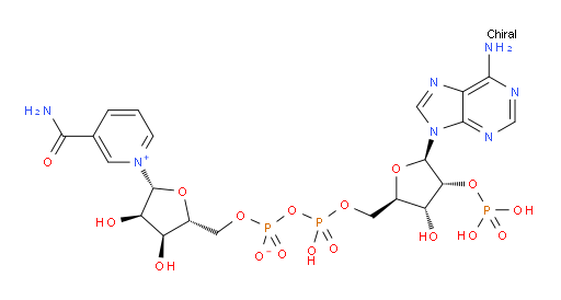 1-((2R,3R,4S,5R)-5-((((((((2R,3R,4R,5R)-5-(6-amino-9H-purin-9-yl)-3-hydroxy-4-(phosphonooxy)tetrahydrofuran-2-yl)methoxy)(hydroxy)phosphoryl)oxy)oxidophosphoryl)oxy)methyl)-3,4-dihydroxytetrahydrofuran-2-yl)-3-carbamoylpyridin-1-ium