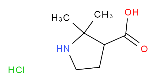 2,2-dimethylpyrrolidine-3-carboxylic acid hydrochloride