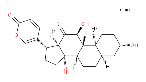 Arenobufagin