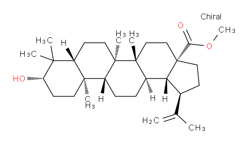 Methyl betulinate