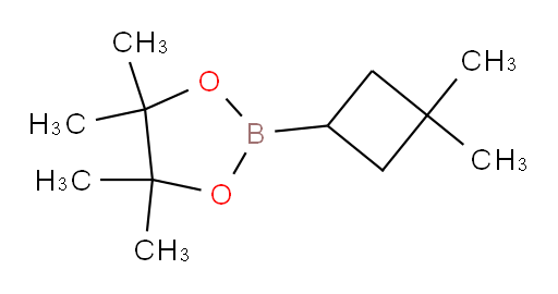 2-(3,3-dimethylcyclobutyl)-4,4,5,5-tetramethyl-1,3,2-dioxaborolane