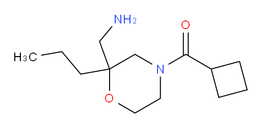 (4-cyclobutanecarbonyl-2-propylmorpholin-2-yl)methanamine