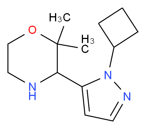 3-(1-cyclobutyl-1H-pyrazol-5-yl)-2,2-dimethylmorpholine
