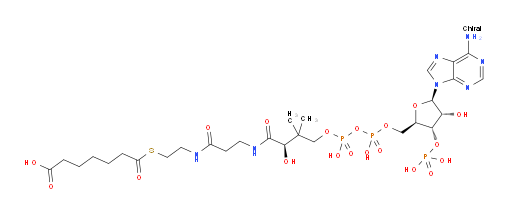 Coenzyme A, S-(hydrogen heptanedioate) (9CI, ACI)