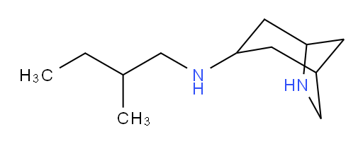 N-(2-methylbutyl)-6-azabicyclo[3.2.1]octan-3-amine